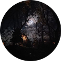 Profile photo of Braden Henritz