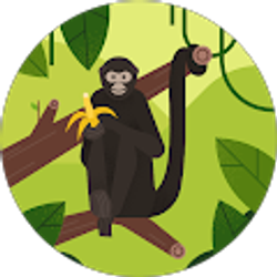 Profile photo of juan y