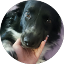 Profile photo of Amelia M