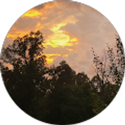 Profile photo of Gregory Boggs