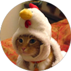 Profile photo of CHICKEN LIFE 287