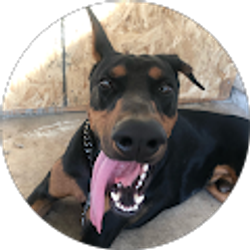 Profile photo of Ramiro Lopez