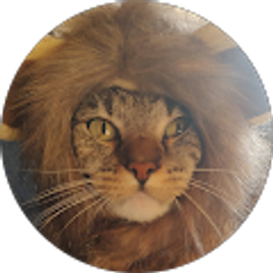 Profile photo of Izabella Arias