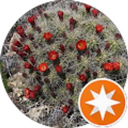 Profile photo of Connie Winnett