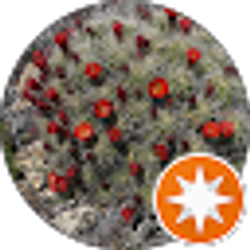 Profile photo of Connie Winnett