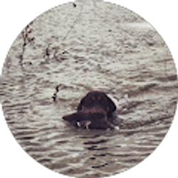 Profile photo of Ant R