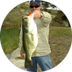 Profile photo of Bill Nanni