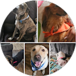 Profile photo of Jessica Johnson