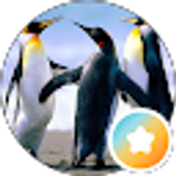 Profile photo of Tobin Cheatam