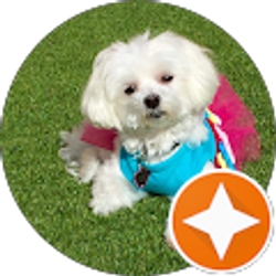 Profile photo of Paula Powell