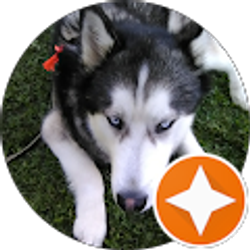 Profile photo of Kimberly Gazzillo