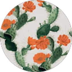 Profile photo of Sara