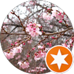 Profile photo of Carol Robert