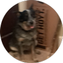 Profile photo of West Turner