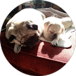 Profile photo of Mike F.