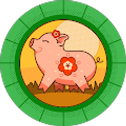 Profile photo of Paul Tonner