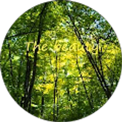 Profile photo of Coleen Harty