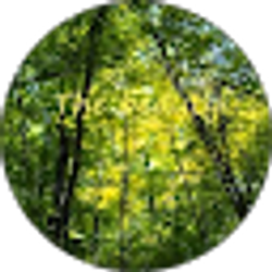 Profile photo of Coleen Harty