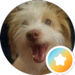 Profile photo of Vicki M