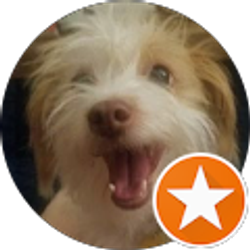 Profile photo of Vicki M