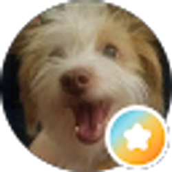 Profile photo of Vicki M
