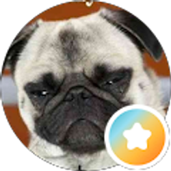 Profile photo of Sherry Garcia