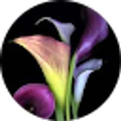 Profile photo of Orletta Cross