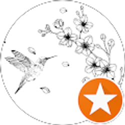 Profile photo of Tricia Dolkas