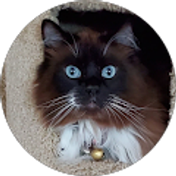 Profile photo of Kate McCloud