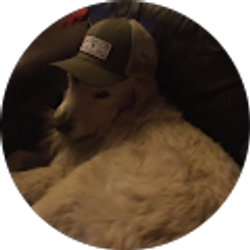 Profile photo of Matt Clarke