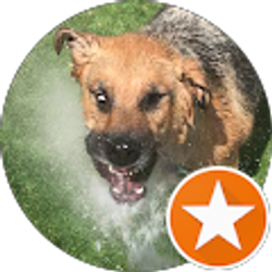 Profile photo of Steven Hughey