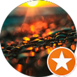 Profile photo of Erin Viscusi