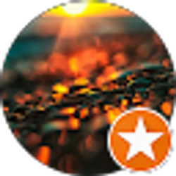 Profile photo of Erin Viscusi