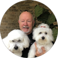 Profile photo of Joe Nixon