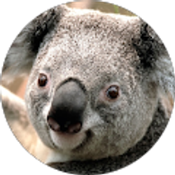 Profile photo of Rami Askell