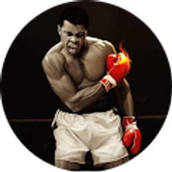 Profile photo of Preston Wingate