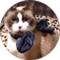 Profile photo of Delray Waldron