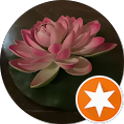 Profile photo of Jo C