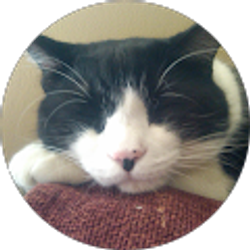 Profile photo of phelan quinn