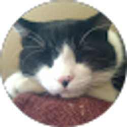 Profile photo of phelan quinn