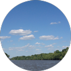 Profile photo of Wendy Ingram