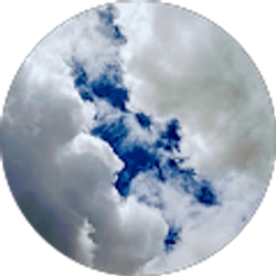 Profile photo of AMIR HOSSEIN