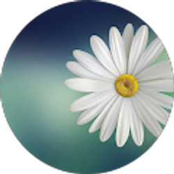 Profile photo of Kelly Holland