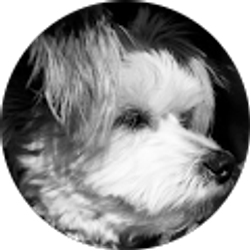 Profile photo of Amy Delaney