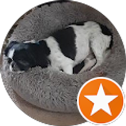 Profile photo of S P