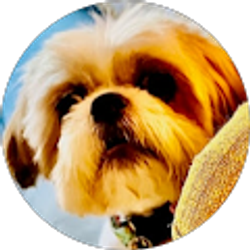 Profile photo of Meri Jo Alexander