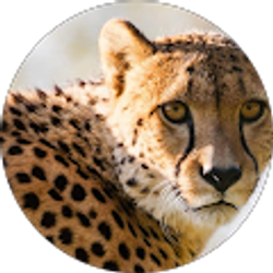 Profile photo of June Watkins