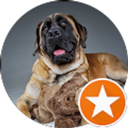 Profile photo of Eileen Sacharewitz