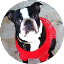 Profile photo of Louie Larsen