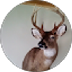 Profile photo of Ed Lawson